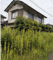 郡山市周辺の空き家で雑草が伸びた状態の確認イメージ